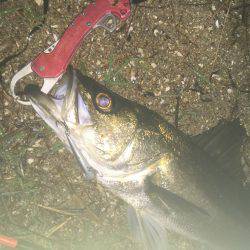 状況一変して２本